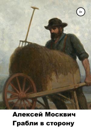 Обложка книги «Грабли в сторону» — Алексей Москвич