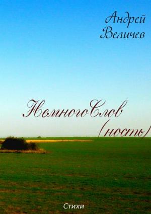 Обложка книги «НемногоСлов (ность)» — Андрей Величев