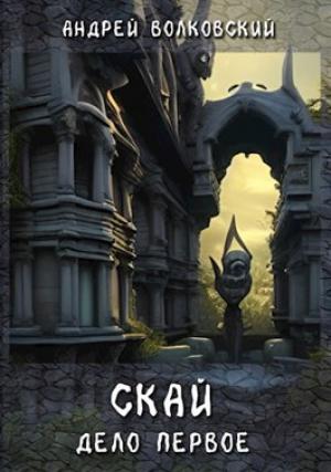 Обложка книги «Скай. Дело первое» — Андрей Волковский