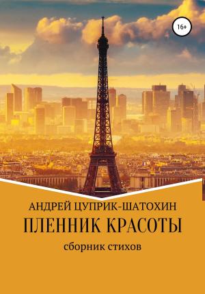 Обложка книги «Пленник красоты» — Андрей Цуприк