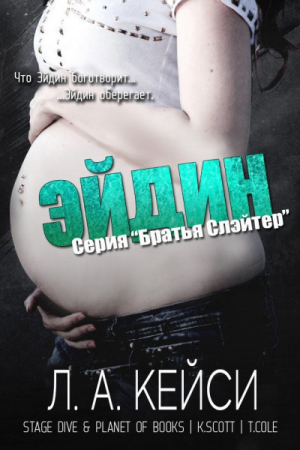 Обложка книги «Эйдин» — Л. А. Кейси