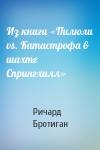 Ричард Бротиган - Из книги «Пилюли vs. Катастрофа в шахте Спрингхилл»