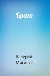 Валерий Мисилюк - Брага