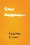 Владимир Дрыжак - Точка бифуркации
