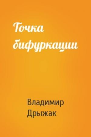Обложка книги «Точка бифуркации» — Владимир Дрыжак