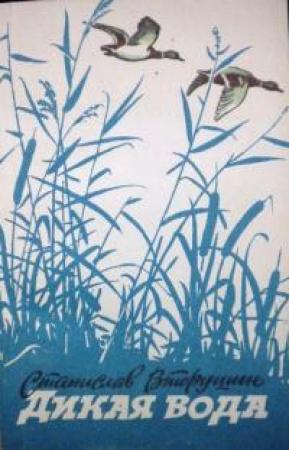 Обложка книги «Дикая вода» — Станислав Вторушин