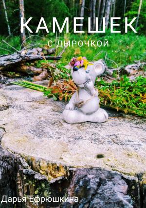 Обложка книги «Камешек с дырочкой» — Дарья Ефрюшкина