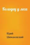 Юрий Шимановский - Колодец у леса