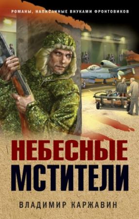 Обложка книги «Небесные мстители» — Владимир Каржавин