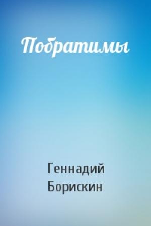 Обложка книги «Побратимы» — Геннадий Борискин
