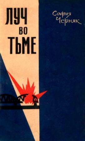 Обложка книги «Луч во тьме» — София Черняк