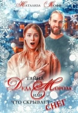 Обложка книги «Тайна Деда Мороза, или Что скрывает Снег» — Натализа Кофф