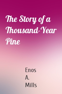 The Story of a Thousand-Year Pine