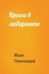 Иван Помнящий - Крыса в лабиринте