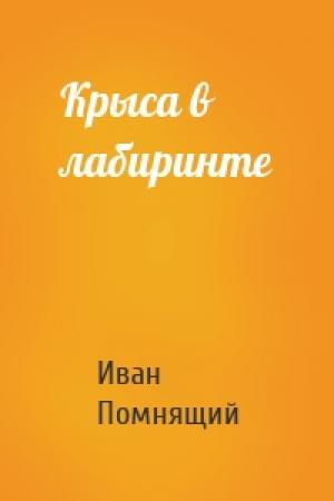 Обложка книги «Крыса в лабиринте» — Иван Помнящий