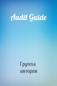 Audit Guide
