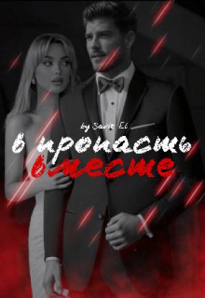 Обложка книги «В пропасть вместе» — Savit Elis
