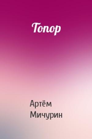 Обложка книги «Топор» — Артём Мичурин