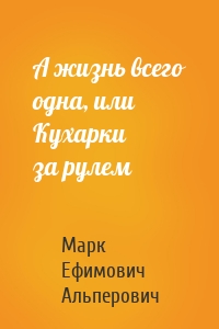 А жизнь всего одна, или Кухарки за рулем