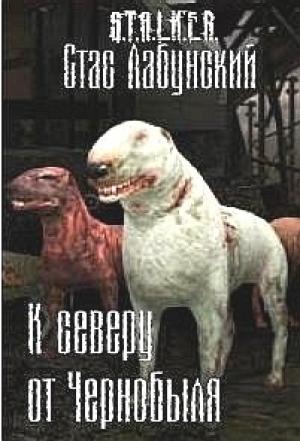 Обложка книги «К северу от Чернобыля» — Станислав Лабунский