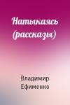 Владимир Ефименко - Натыкаясь (рассказы)