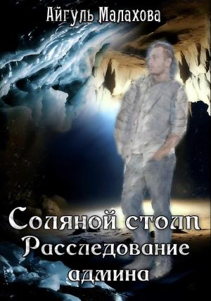 Обложка книги «Соляной столп. Расследование админа» — Айгуль Малахова