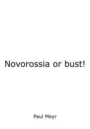 Обложка книги «Novorossia or bust!» — Paul Meyr