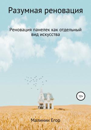 Обложка книги «Разумная реновация» — Егор Малинин