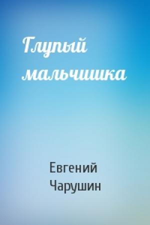 Обложка книги «Глупый мальчишка» — Евгений Чарушин