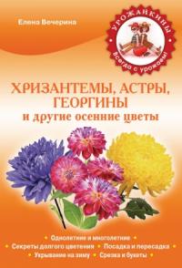 Елена Вечерина - Хризантемы, астры, георгины и другие осенние цветы