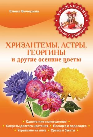 Обложка книги «Хризантемы, астры, георгины и другие осенние цветы» — Елена Вечерина