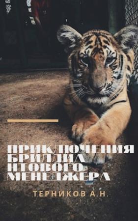 Обложка книги «Приключения бриллиантового менеджера» — Александр Терников