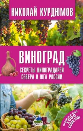 Обложка книги «Виноград. Секреты виноградарей севера и юга России» — Николай Курдюмов