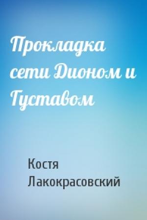 Обложка книги «Прокладка сети Дионом и Густавом» — Костя Лакокрасовский