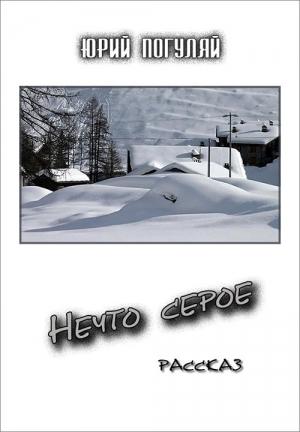 Обложка книги «Нечто серое» — Юрий Погуляй