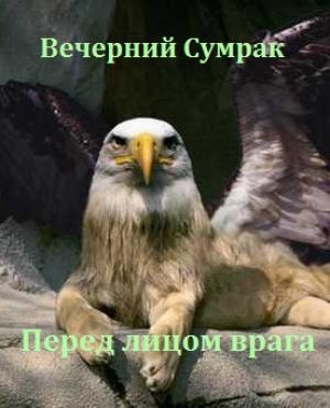 Обложка книги «Перед лицом врага»