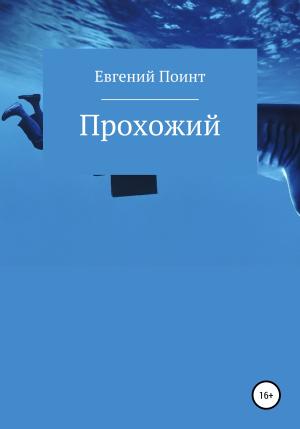 Обложка книги «Прохожий» — Евгений Поинт