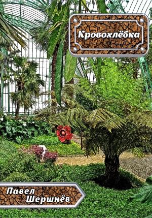 Обложка книги «Кровохлёбка» — Павел Шершнёв