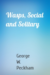 Wasps, Social and Solitary