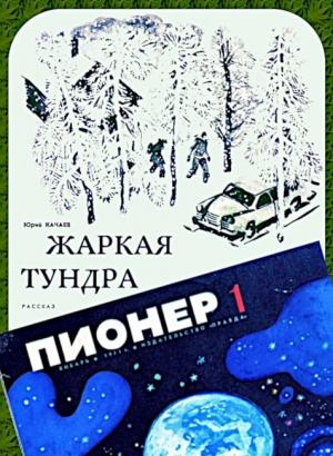 Обложка книги «Жаркая тундра» — Юрий Качаев