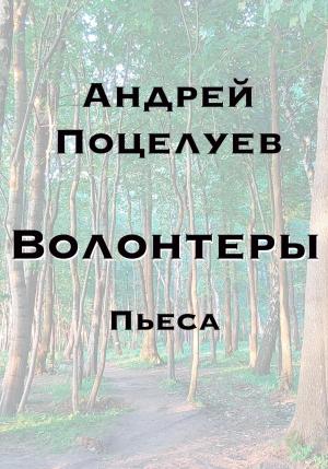 Обложка книги «Волонтеры» — Андрей Поцелуев