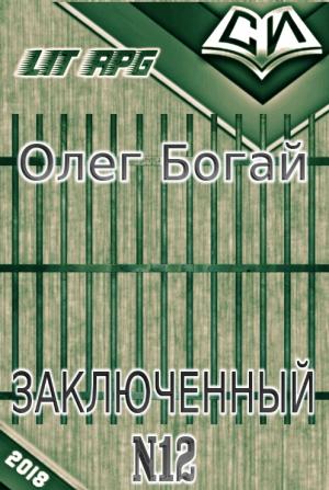 Обложка книги «Булыга: Заключенный № 12 (СИ)» — Олег Дмитриевич Богай