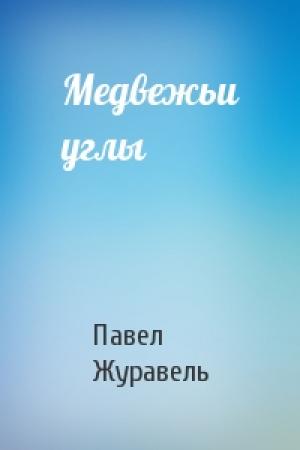Обложка книги «Медвежьи углы» — Павел Журавель