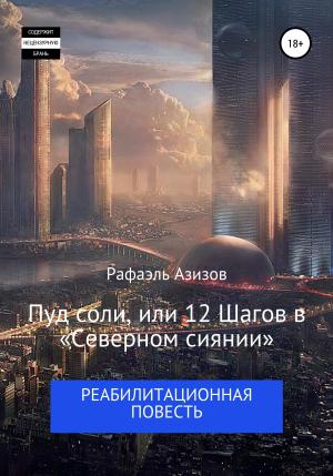 Обложка книги «Пуд соли, или 12 Шагов в «Северном сиянии»» — Рафаэль Азизов
