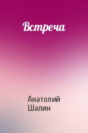 Обложка книги «Встреча» — Анатолий Шалин