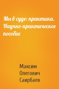 Мы в суде: практика. Научно-практическое пособие