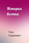 Това Гершкович - История волчка