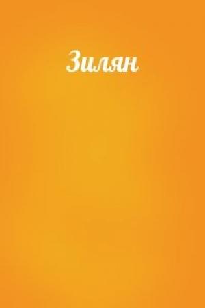 Обложка книги «Зилян»