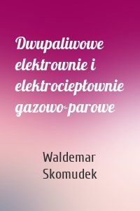 Dwupaliwowe elektrownie i elektrociepłownie gazowo-parowe