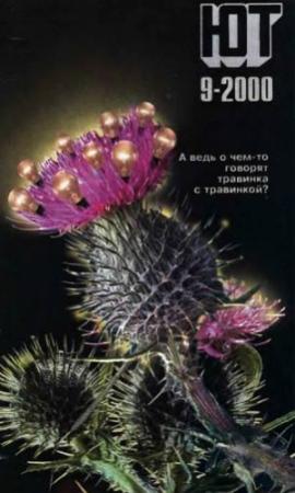 Обложка книги «Юный техник, 2000 № 09» — Журнал «Юный техник»